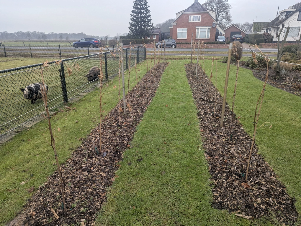 Early December Early December