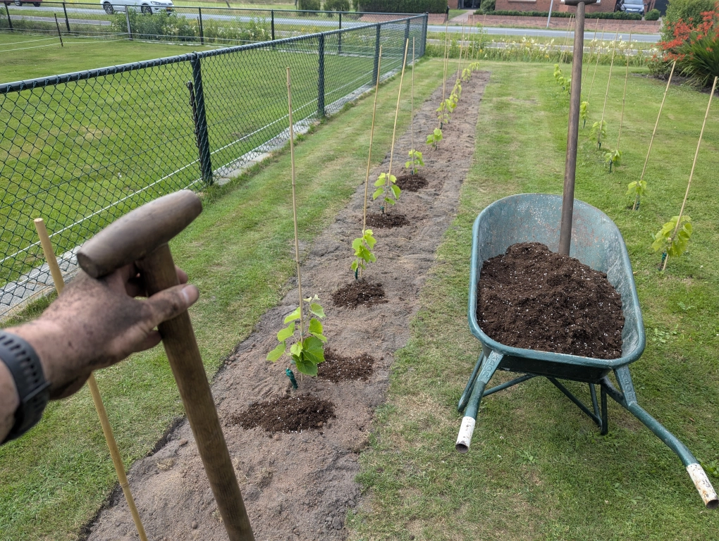 Terraforming progress 0