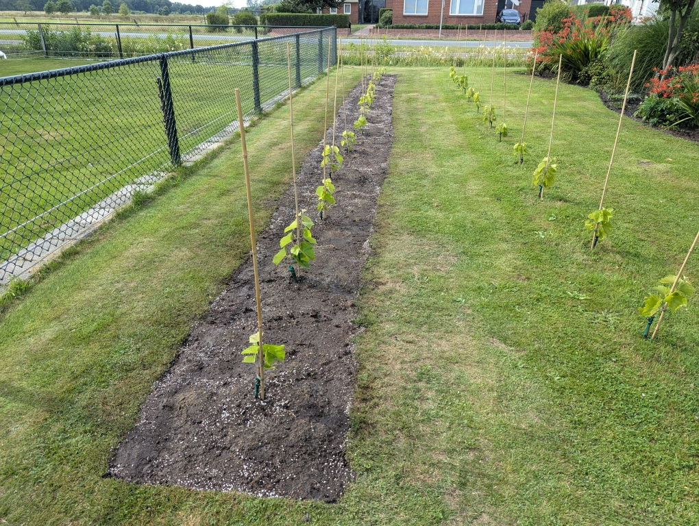 Terraforming progress 1