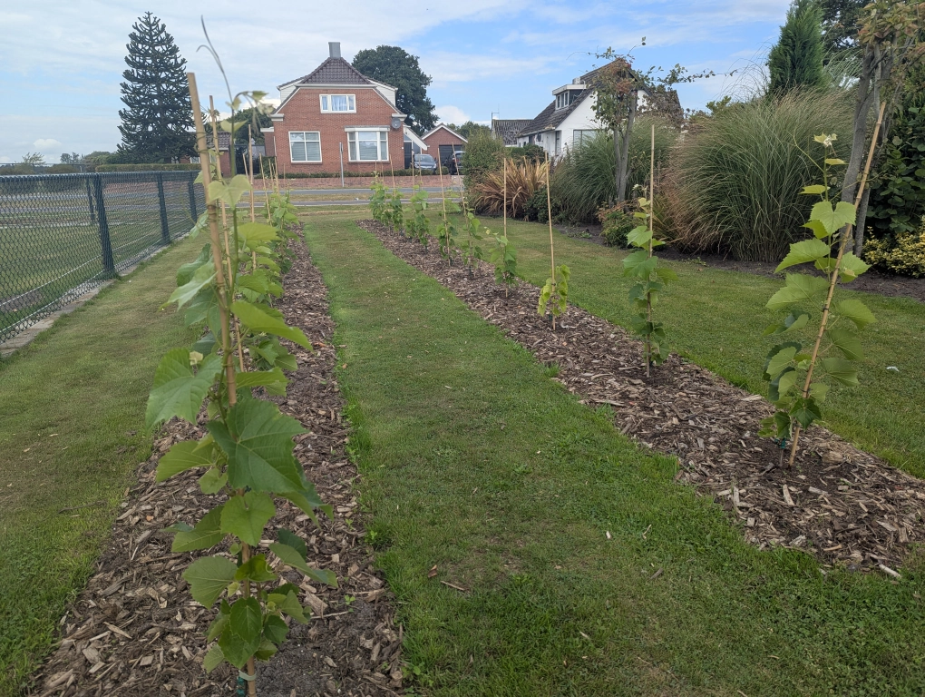 Late August 2 Late August 2